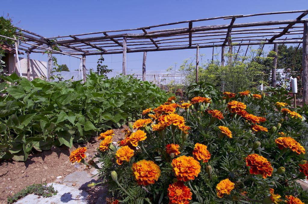 Corte Breda, Agriturismo Bed&Breakfast Киари Екстериор снимка
